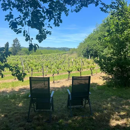 La Bastide Des Ecureuils-Piscine & Jardin Prive A Prayssac *