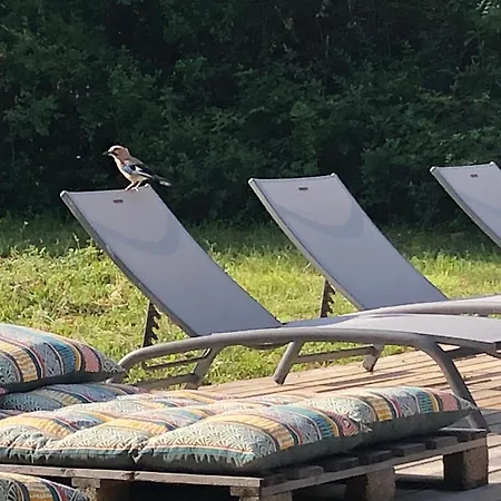 Tout Confort Avec Piscine *