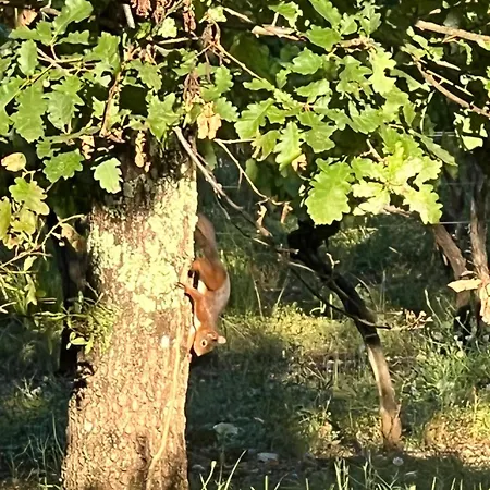 Villa Tout Confort Avec Piscine