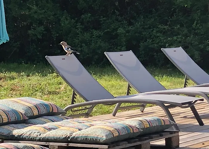 Tout Confort Avec Piscine *