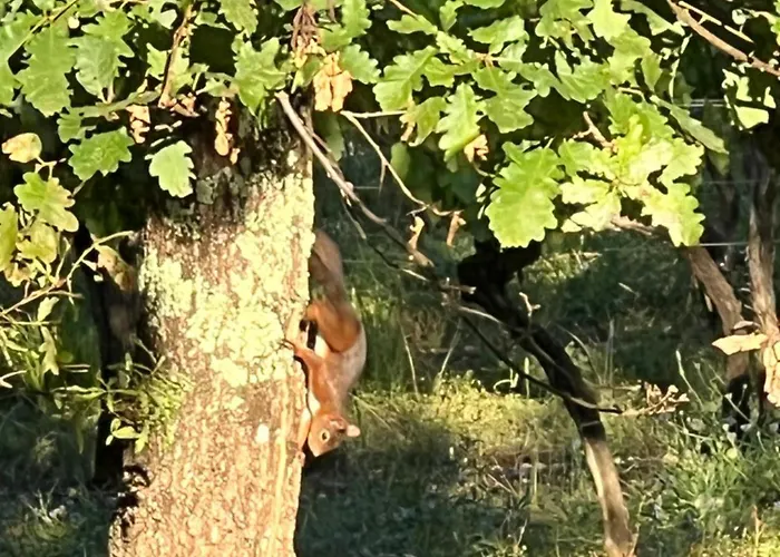 Villa Tout Confort Avec Piscine